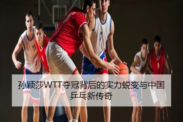 孙颖莎WTT夺冠背后的实力蜕变与中国乒乓新传奇