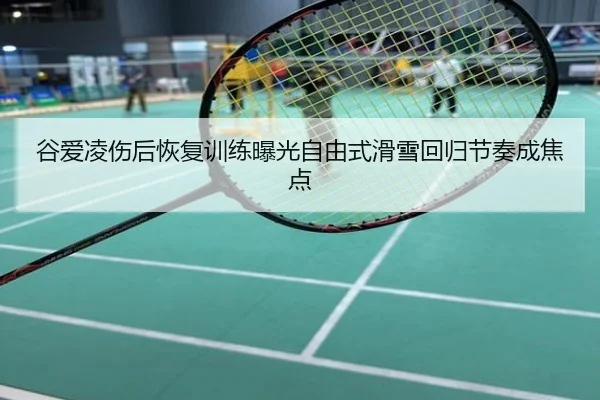 谷爱凌伤后恢复训练曝光自由式滑雪回归节奏成焦点