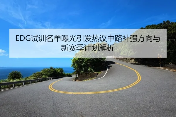 EDG试训名单曝光引发热议中路补强方向与新赛季计划解析